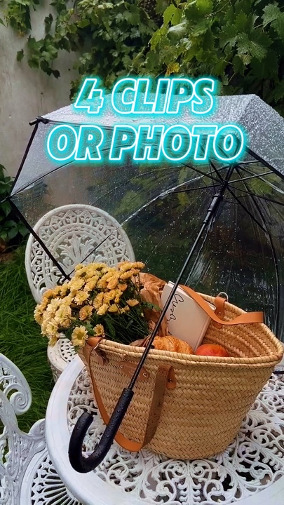 4 clips or photo 