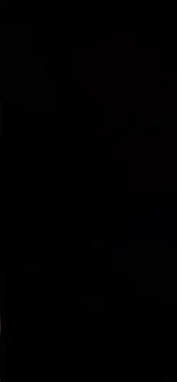 ずるいウサギ  マヌケなキツネ