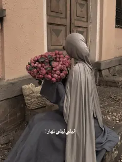 ليلي ليلي نهار