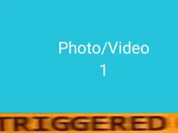 TRIGGERED MEME