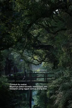 aestethic story song