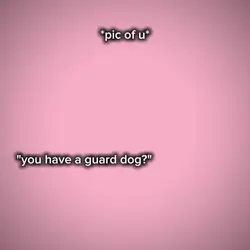 you have a guard dog