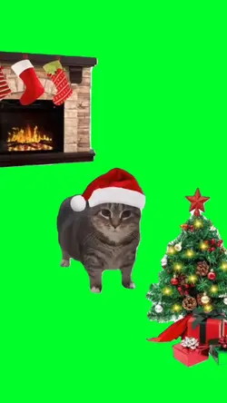 Feliz U I A Cat