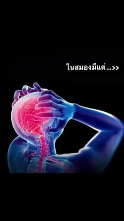 มีแต่