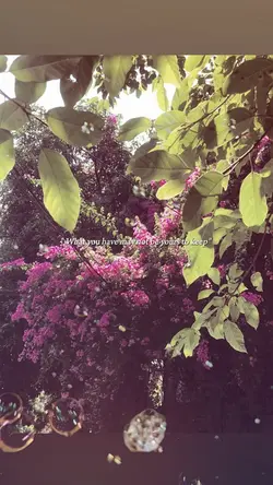 BEAT 2 ẢNH XỊN