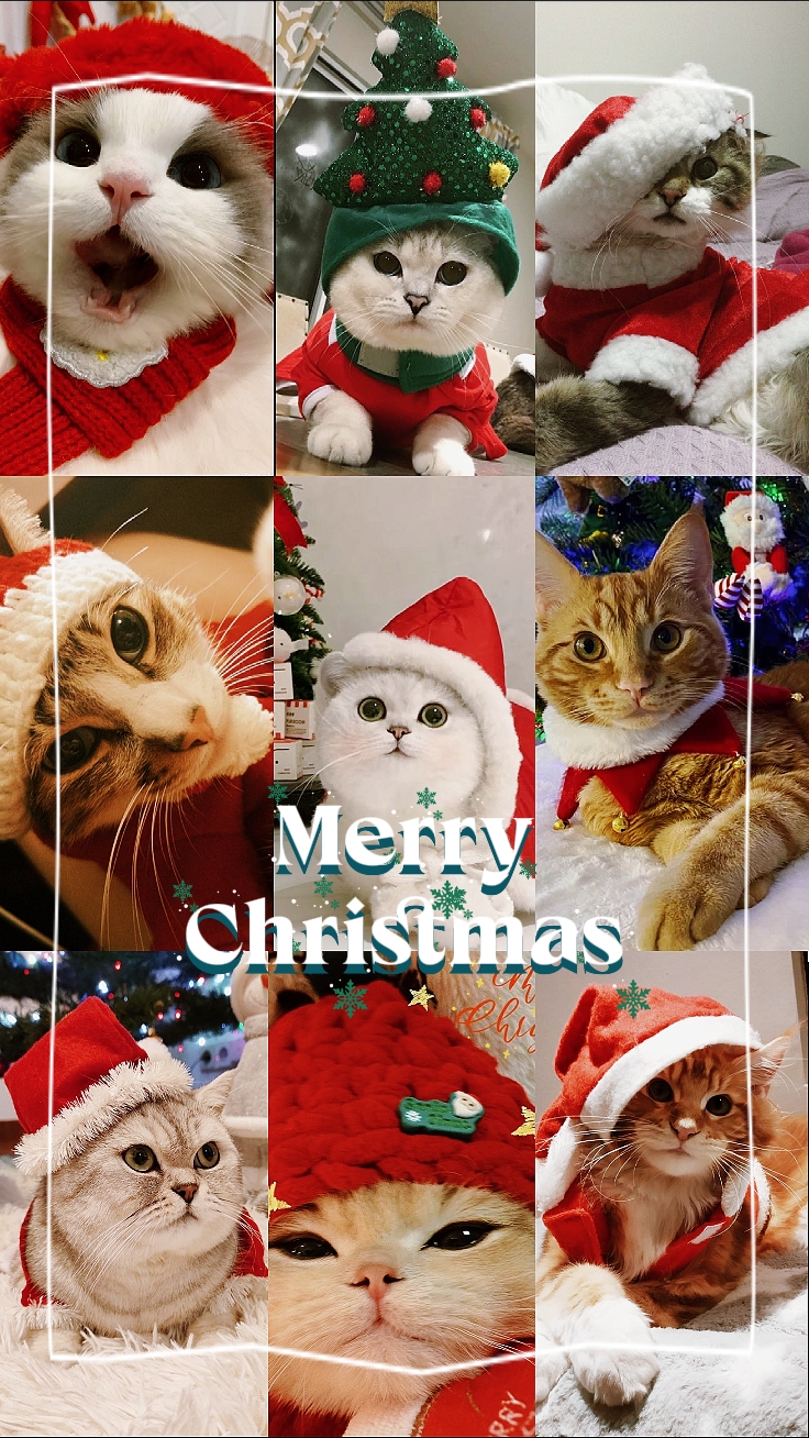Mascota de Navidad