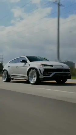 Lambo 🤍🤍