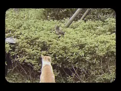 Ekspormu semangatku💕