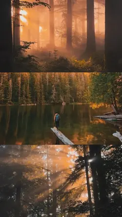 cinematic nature