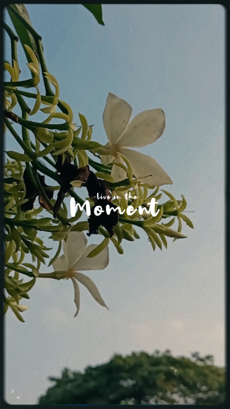 Lovely momment