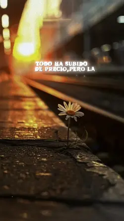 LASALVACIÓNESGRATIS✝️