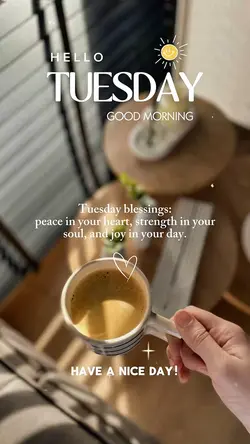 Hello Tuesday 🤍