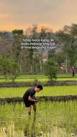 bahan sw