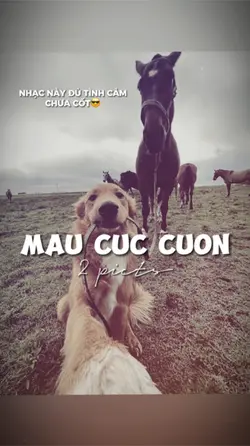 2 ẢNH GIẬT NHẸ