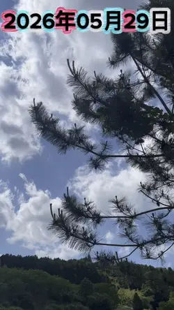 今日の天気