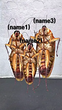 가족 바선생 등장 !!