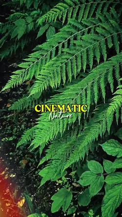 CINEMATIC