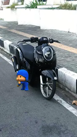 POCOYO
