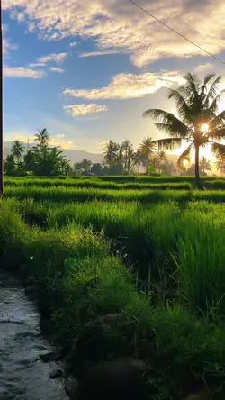 keindaham alam