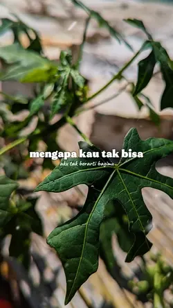 AKU TAK BERARTI BAGI