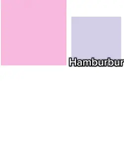 Hamburbur🍔