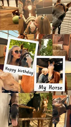 Birthday my horse 