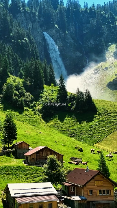 calm nature 