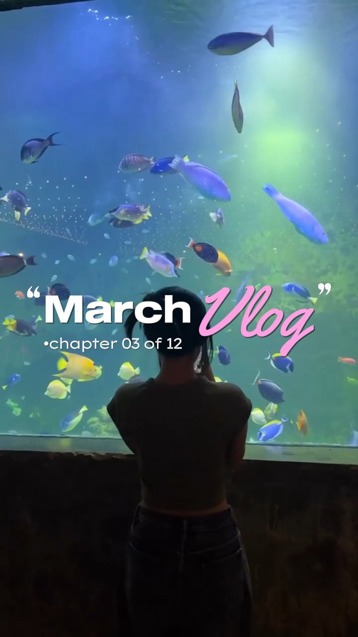 Vlog de março