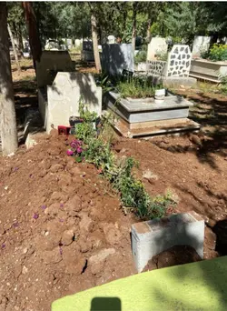 seni çok ozledim