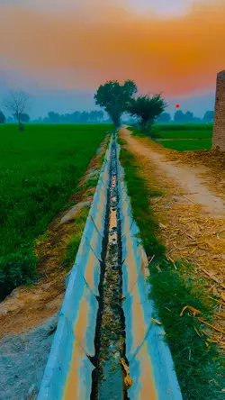 Village Template👀❤️