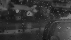 Đắng cay nhân gian