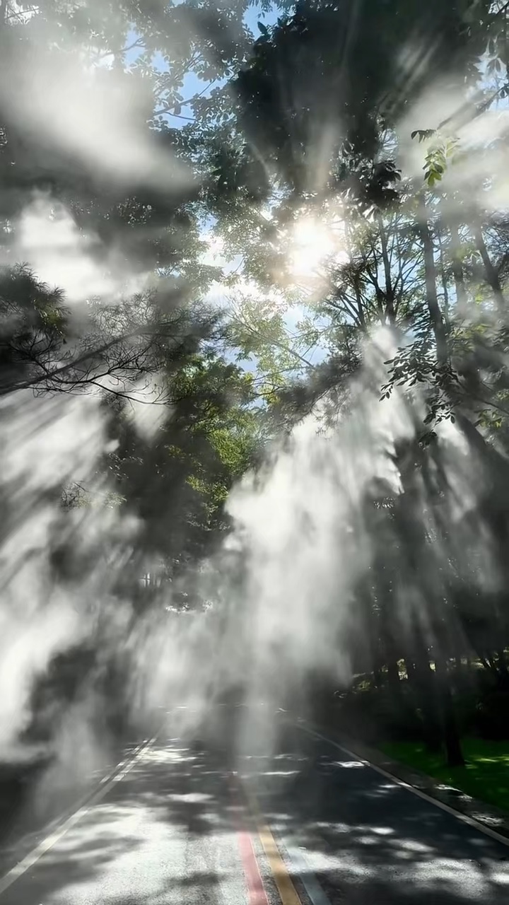 8 video nature vibes
