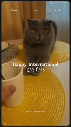 happy cats day