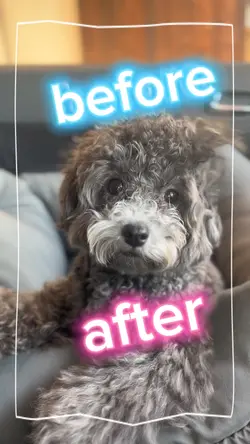 ビフォーアフター✨️クリップ4枚