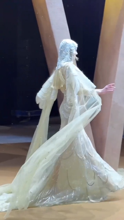 Hochzeitskleidung
