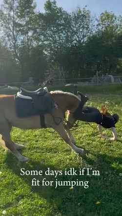 Horse glow up 