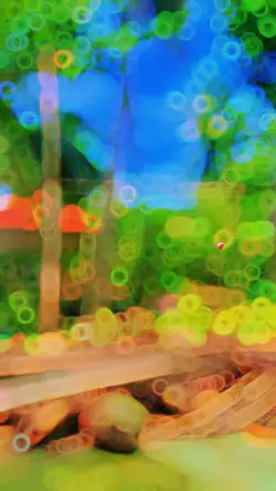 Hỏi người -người có 
