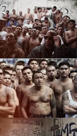 tanpa lirik