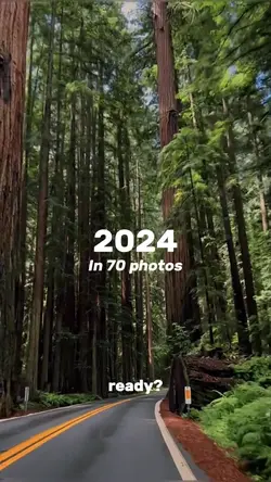 2024 in 70 photo’s