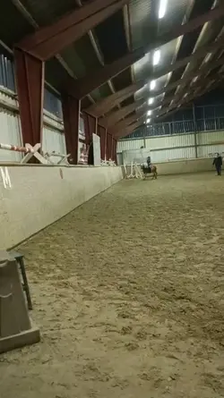 Verbesserung 