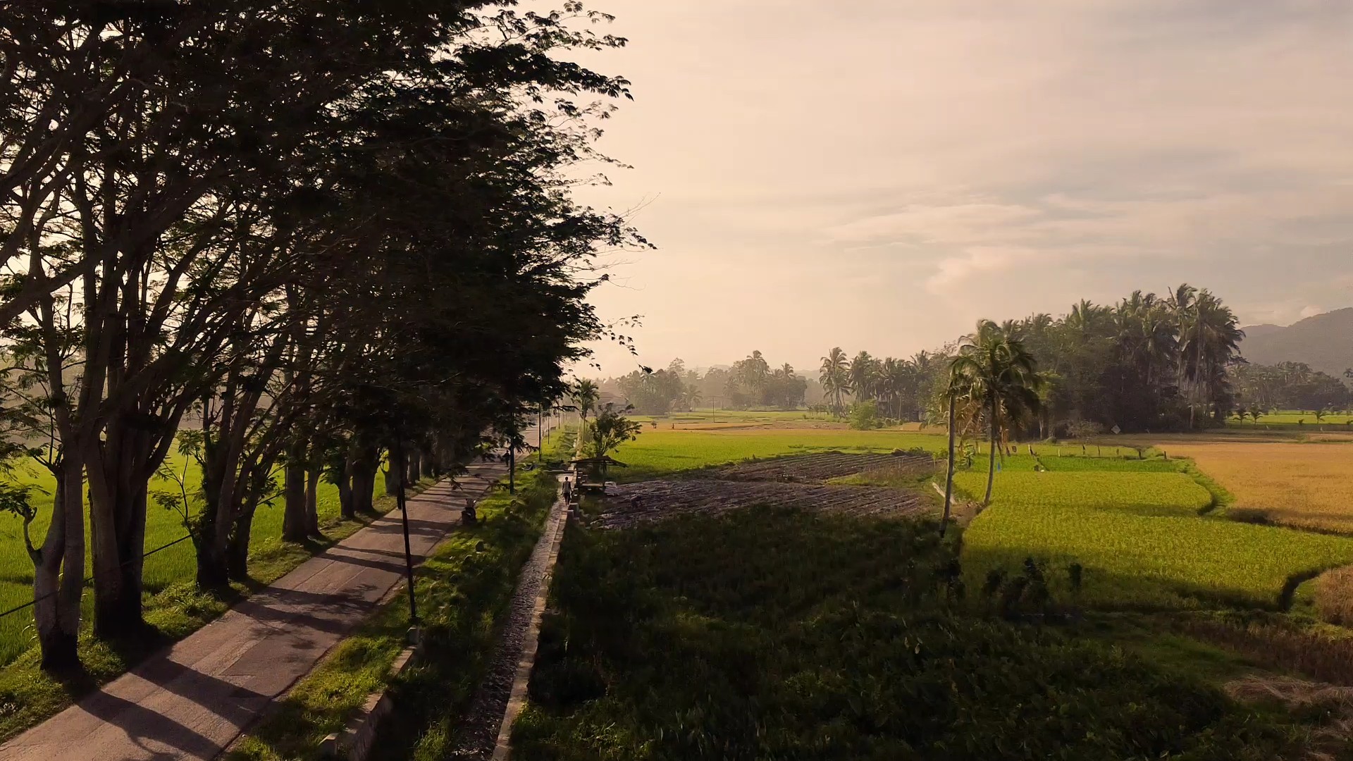 Drone cinematográfico