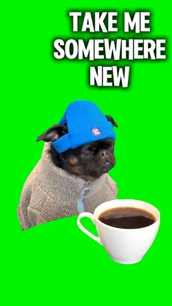 Depresso Dog