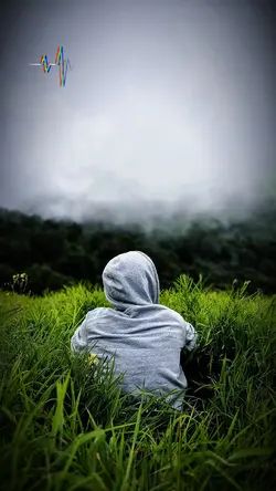 PHOTO / VIDEO
