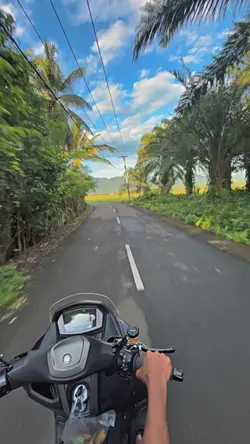1VID FILTER IP HD