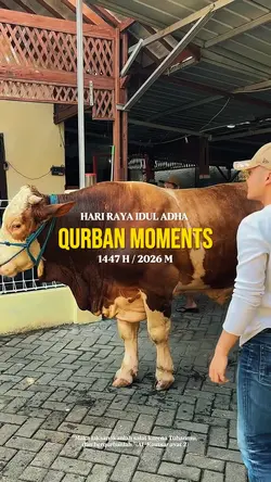 qurban moments