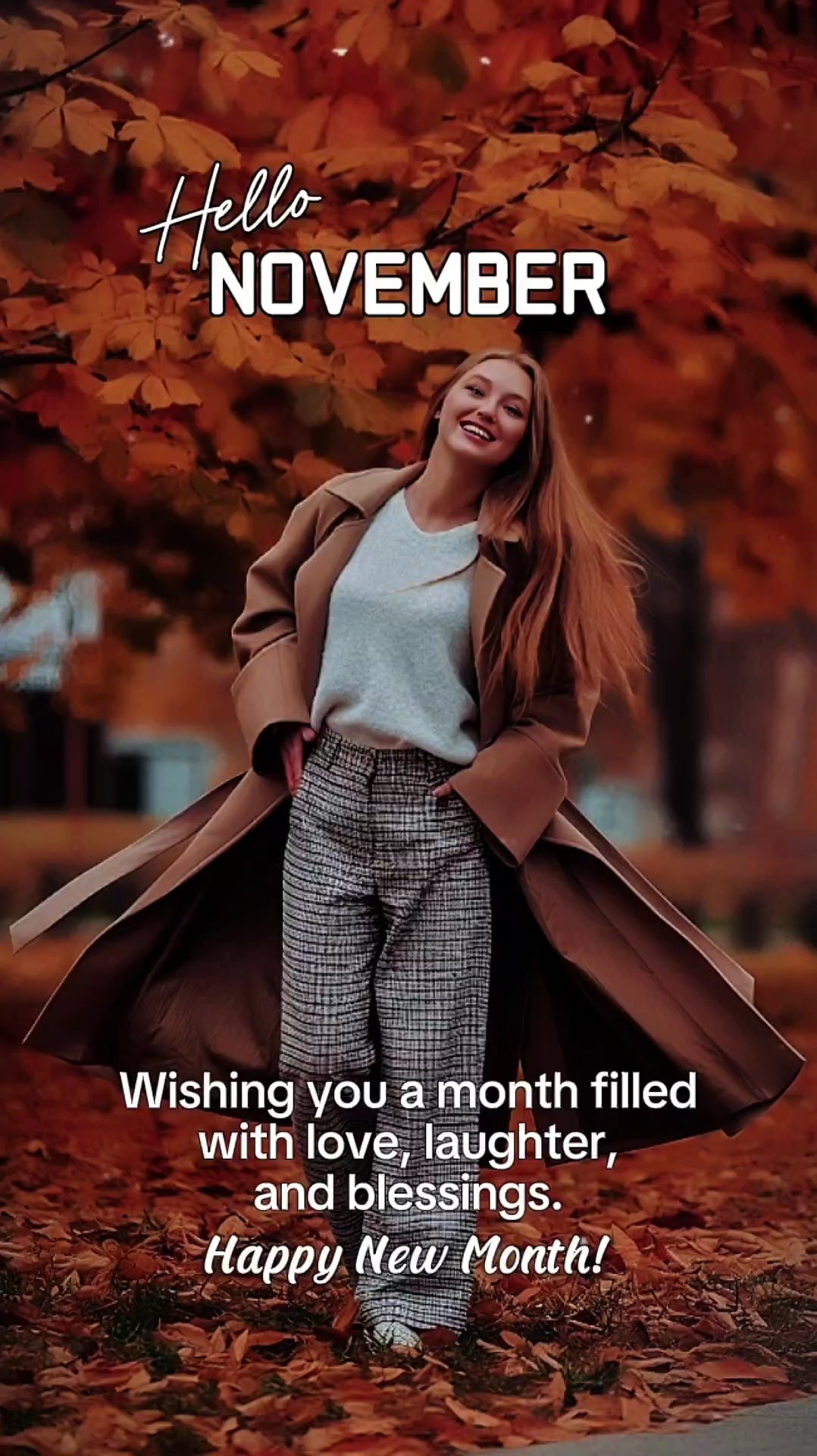 Olá novembro