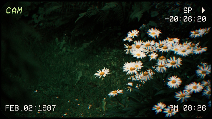 Vlog Vintage