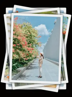 7 Photos Aesthetic