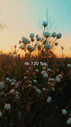 144p to 4K 120fps