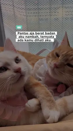 tag pasanganmu